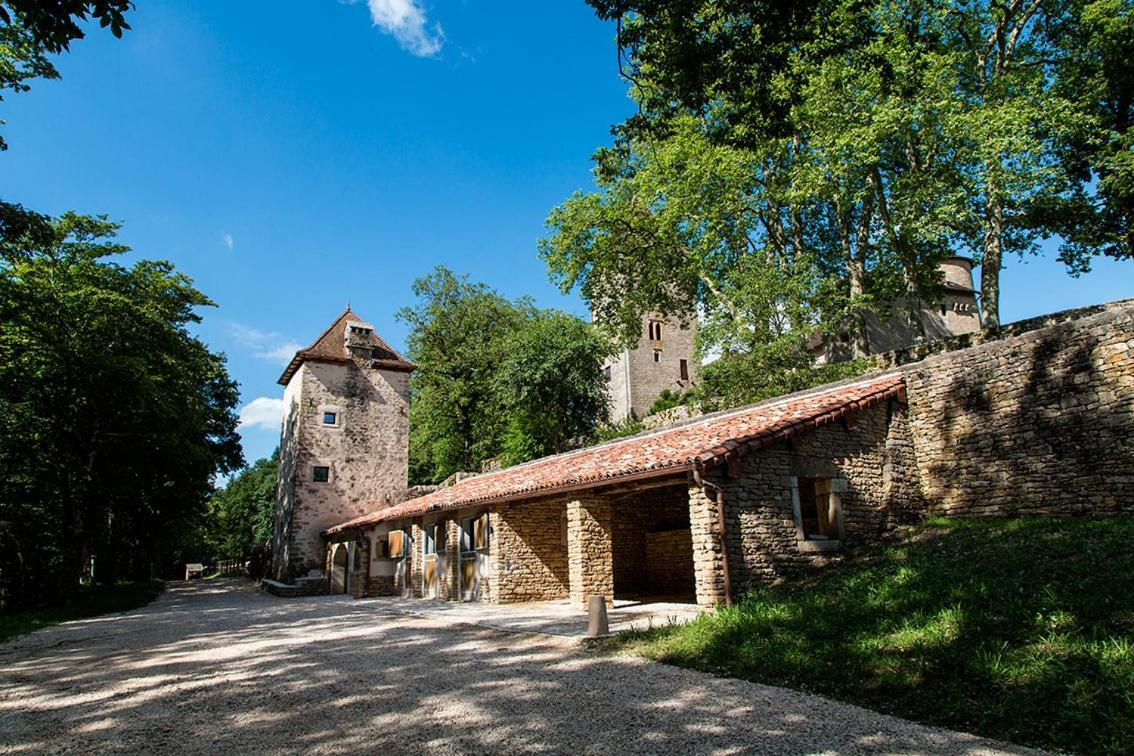מלון Chateau De Marigna מראה חיצוני תמונה