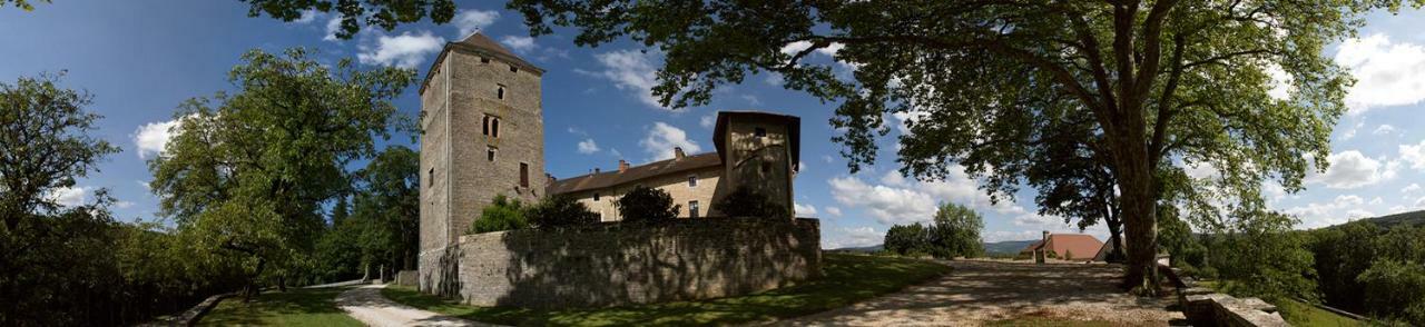 מלון Chateau De Marigna מראה חיצוני תמונה